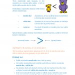 Matematika 1 - základy - pracovný zošit - strana 33